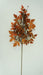 33 In Mixed Black Cohosh 40504-ORBRN