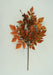 18 In Mixed Black Cohosh 40505-ORBRN