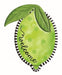 12"H x 9.5"W Embossed Welcome Lime Lime Green MD072136