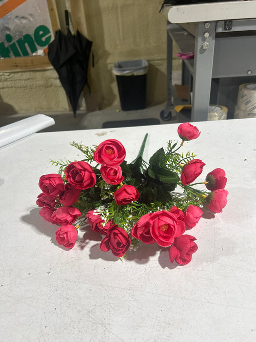 Mini Camellia Bush - 12 Stems - Beauty Mix - 37126