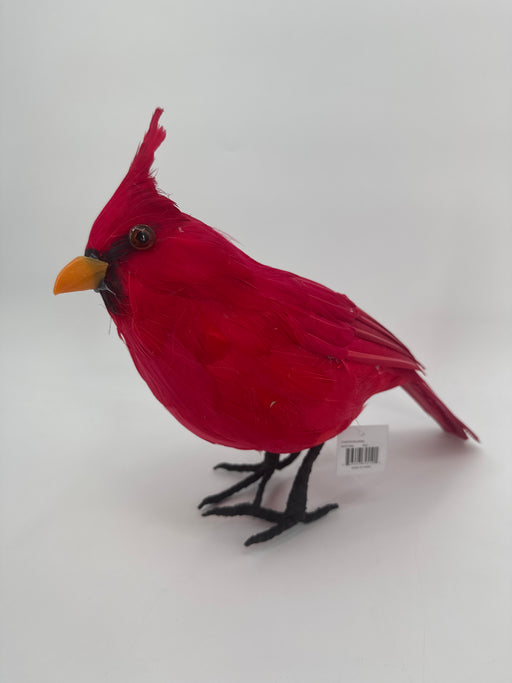 15" Red Feather Cardinal MTX77095-RED - DecoExchange®