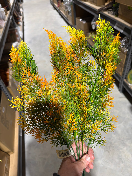 Pls Cedar Bshx7 Orange 1/12Dz 57234 - DecoExchange®