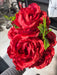 Cabbage Rose - 9 Stems - Red - 95944 - DecoExchange®