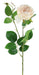 21"L Rose Spray Cream FS358344