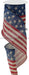 4’’X10Yd Stars And Stripes/Royal Tan/Red/Blue RG1917A7 ribbon
