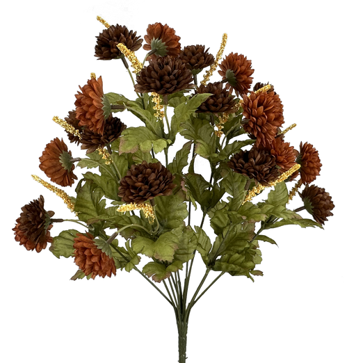 Pompom Mum bush x 12 H17 Brown 52290BN