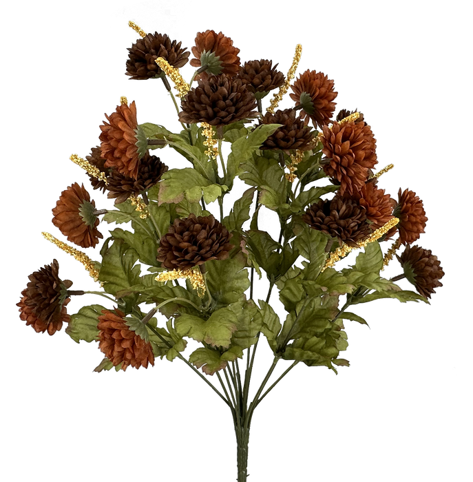 Pompom Mum bush x 12 H17 Brown 52290BN
