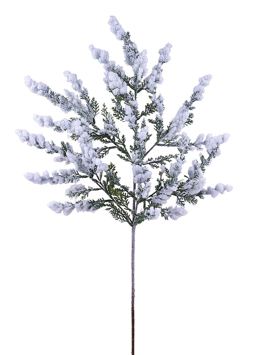 24.5"L Flocked Arborvitae Spray Tt Green XV7730