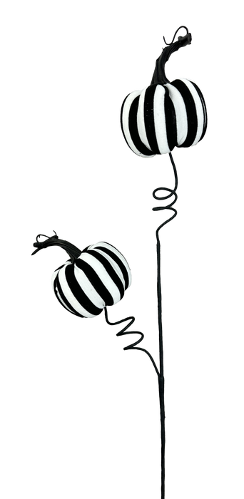 Stripe Pumpkin Spray 26in 57268BKWT