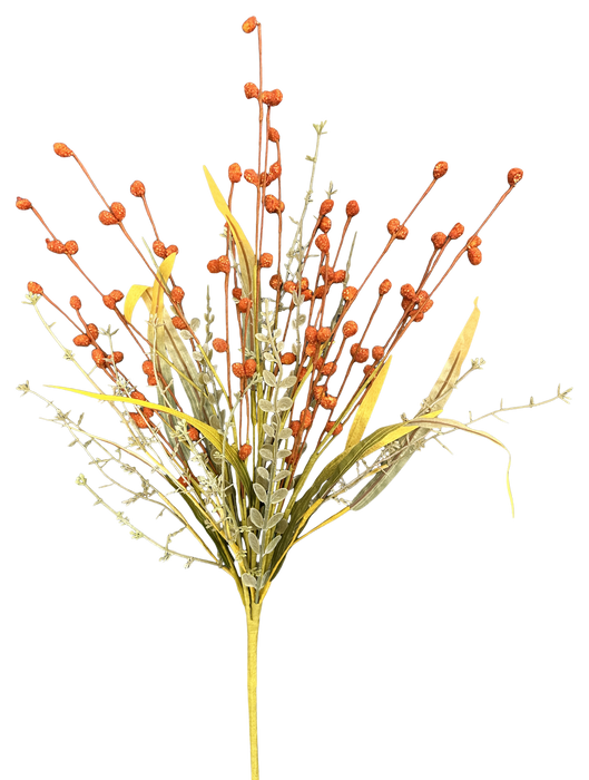 Berry Filler Bush H21 Orange 57425OR