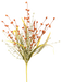 Berry Filler Bush H21 Orange 57425OR
