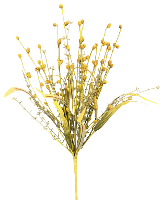 Berry Filler Bush H21 Yellow 57425YW