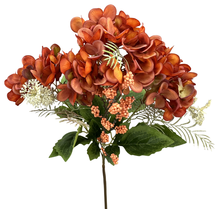 Hydrangea Bush x5 H16 57463OR