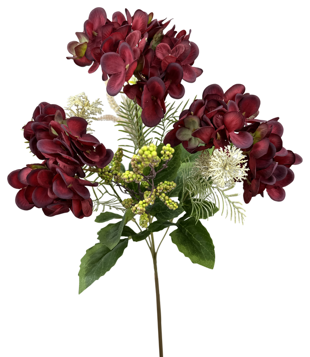 Hydrangea Bush x5 H16 57463RD