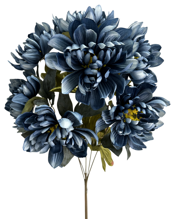Dahlia Bush x 7 H21 Blue 57522BL