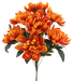 Dahlia Bush x 7 H21 Orange 57522OR