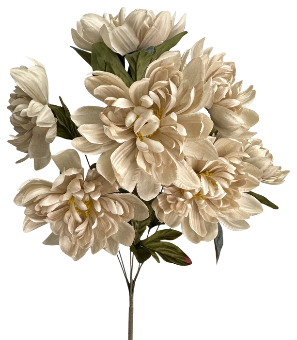 Dahlia Bush x 7 H21 Taupe 57522TAUPE