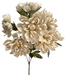 Dahlia Bush x 7 H21 Taupe 57522TAUPE