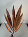 58.5Cm Palmetto Leaves Pick In Orange (Product Code: Get-151464)