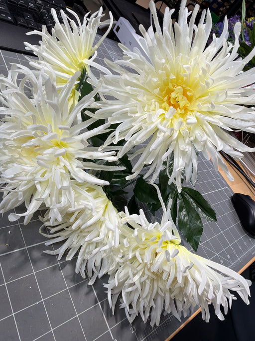 Lg Spider Mum Bush X 5 Crm 8Dz 18151 - DecoExchange®