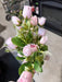 Rose Bud Bush - 7 Stems - Pink - 37405 - DecoExchange®