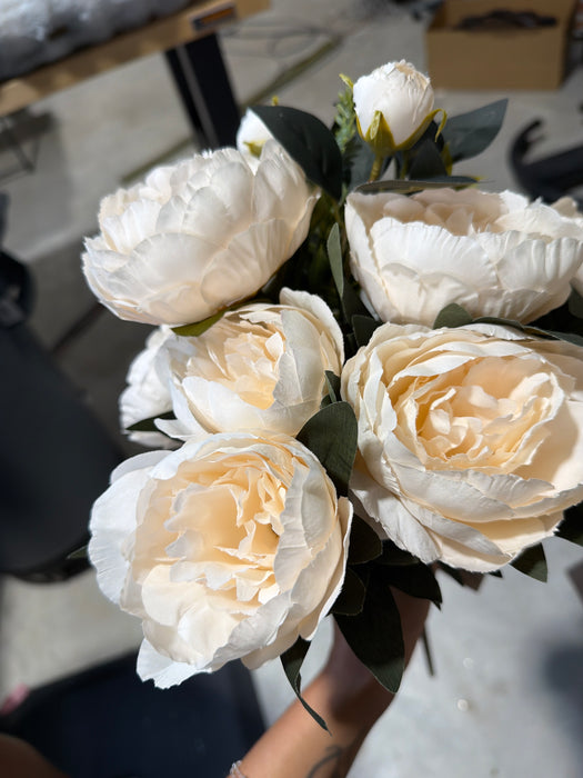 Peony Bush - 10 Stems - Cream - 81911