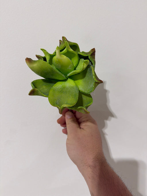 10" Foam Echeveria Stem MTF26668-GRN - DecoExchange®