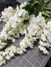 Wisteria Bush X 12 Crm 6Ea14Dz 19241 - DecoExchange®