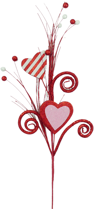 Heart Spray X 2 H29  62215RDWTPK