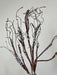 34" Plastic Snowed Winter Branch MTX71307-NATW - DecoExchange®