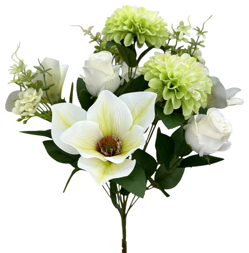 Zinnia Magnolia Rose Bush X 12 H20  64011CM - DecoExchange®