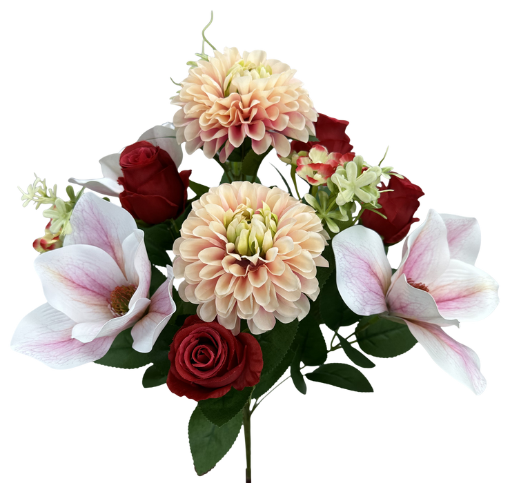 Zinnia Magnolia Rose Bush X 12 H20  64011RDPK - DecoExchange®