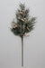 34" Mixed Pine Berry Spray