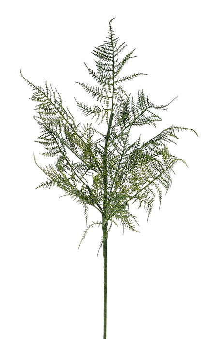 26"L Asparagus Fern Spray Tt Green FF0005