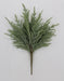 22 In Norfolk Pine Bush 65889