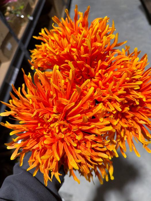 Lg Spider Mum Bush X 5 Org 8Dz 18153 - DecoExchange®