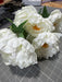 Peony Bush X 7 Crm 1/6Dz 21431 - DecoExchange®