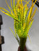 Plastic Mix Grass - 7 Stems - Orange - 59635 - DecoExchange®