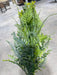 Pls Mix Fern Bshx Fs.Grn  57842 - DecoExchange®
