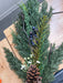 38" Pine&Lg Cone Spray PA4912L-GRN - DecoExchange®