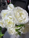 Cabbage Rose - 9 Stems - Cream - 95941 - DecoExchange®