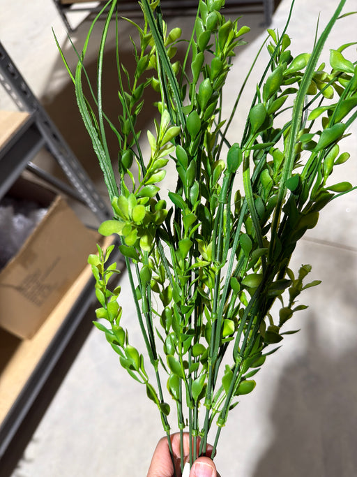 Pls Boxwd/Grass Mx X7 Grn 12Dz 59721 - DecoExchange®