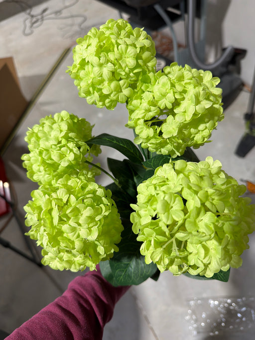 Snow Ball Bush X 5 Grn 1/10Dz 19152 - DecoExchange®