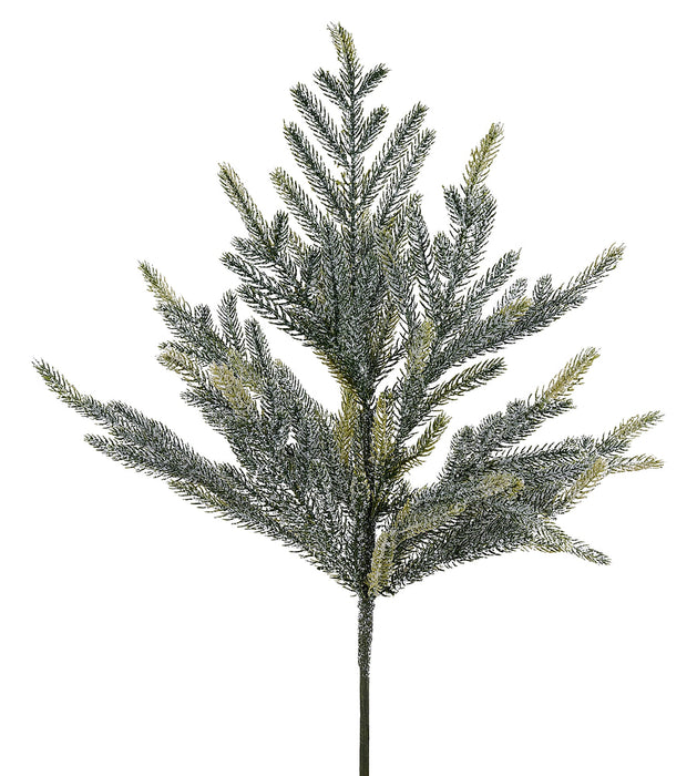 19.5"L Frosted Norfolk/Pinecone Bush Tt Green XX2480