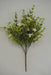 16" Filler Bush, Cream