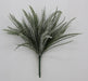 19 In Frosted Button Fern 85805