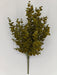 20" Eucalyptus Bush x9, Green