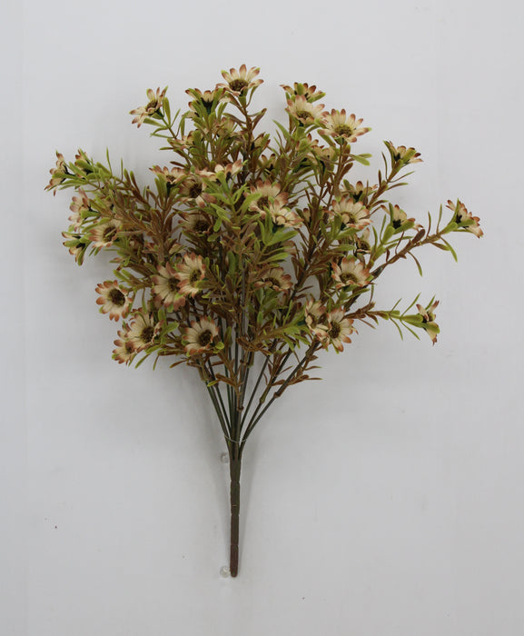 17" Daisy Bush x12, Brown