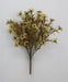 17" Daisy Bush x12, Brown