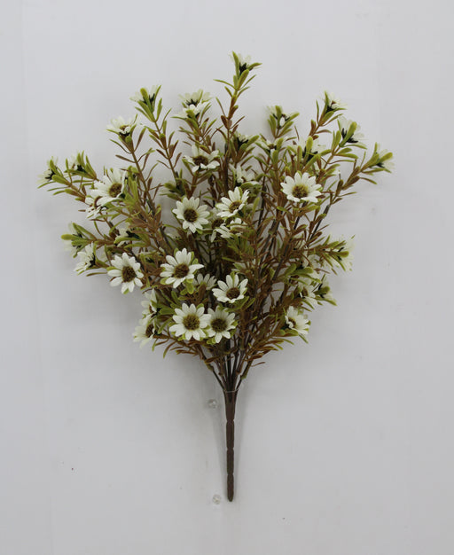 17" Daisy Bush x12, Cream